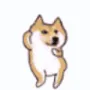 dogedance dogedance