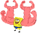 flex flex