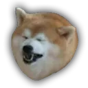 anySmallObstacle