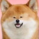 smolfacedoge