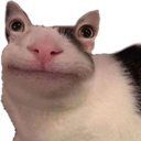 LcoMiauuuuuuu Discord emoji