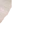 brushy23