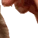brushy11