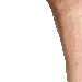 brushy24