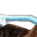 brushy3