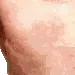 brushy12 brushy12