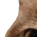 brushy7