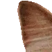 brushy1