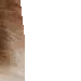 brushy17