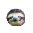 SmallSloth