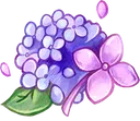 item_hydrangeas
