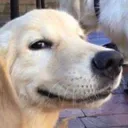 smirkin smirkin