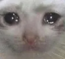 SaduCatu