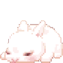 :CBBunBun: Discord Emote