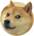 MemeDoge Discord Emoji