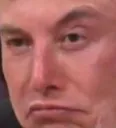 elon