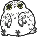 :cb_owl: