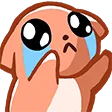 zcat_cry
