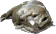 FishMoley