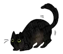 kitty_1 Discord Emoji