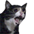 :yamero: Discord Emote
