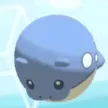 spheal