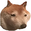 shimb shimb