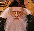 dumblydore