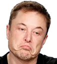 ElonDoubts
