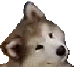 309b1d3e715e4981bcf5f68793553b0c
