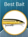 bait