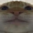 bruh