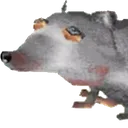 GiantRat GiantRat