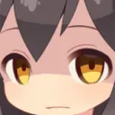 DGF_Stare