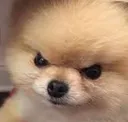 angery