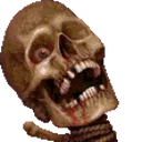 skull