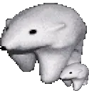 bears bears