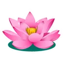 lotus