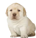ehmole ehmole