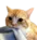 thonkat