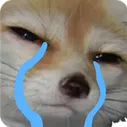 Fox Cry FoxCry Discord Emoji