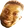 cooBruh