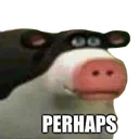 perhaps