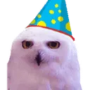 owlBirthday