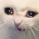 ded