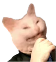 echlul