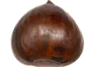 NUT