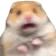 ScaredyHamster Discord Emoji
