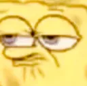 sponge4