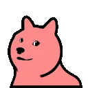 DogeParrot